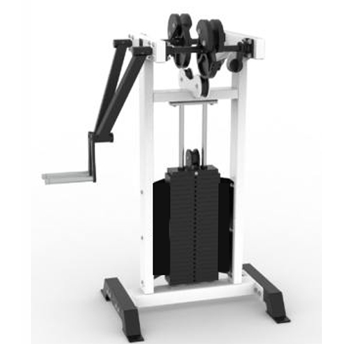 Standing Lateral Raise