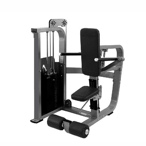 Tricep Dip Machine - Application: Gain Strength