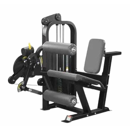 Seated Leg Extension With Curl