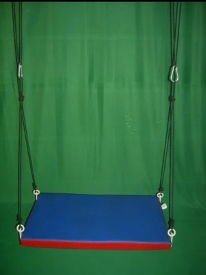 Plate Form Swing - Age Group: Infants