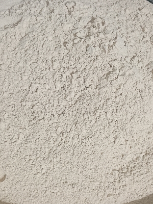 Sweet Potato Powder - Color: Yellowish White