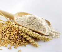 Wheat Flour