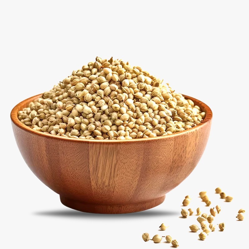 Organic Coriander