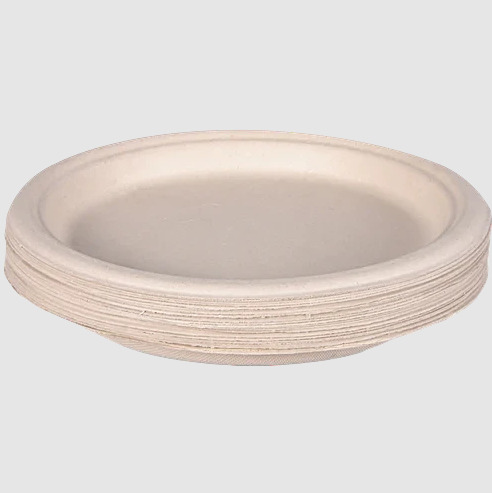 Paper Plate