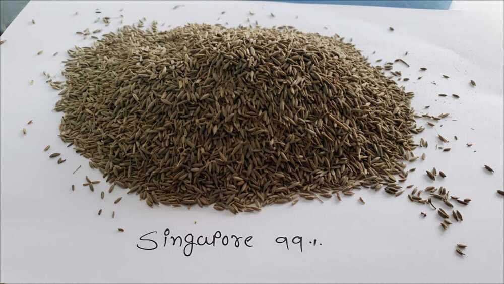 Cumin Seeds - Natural Edible Raw Piece | Strong Taste With Cool Dry Storage For Optimal Freshness