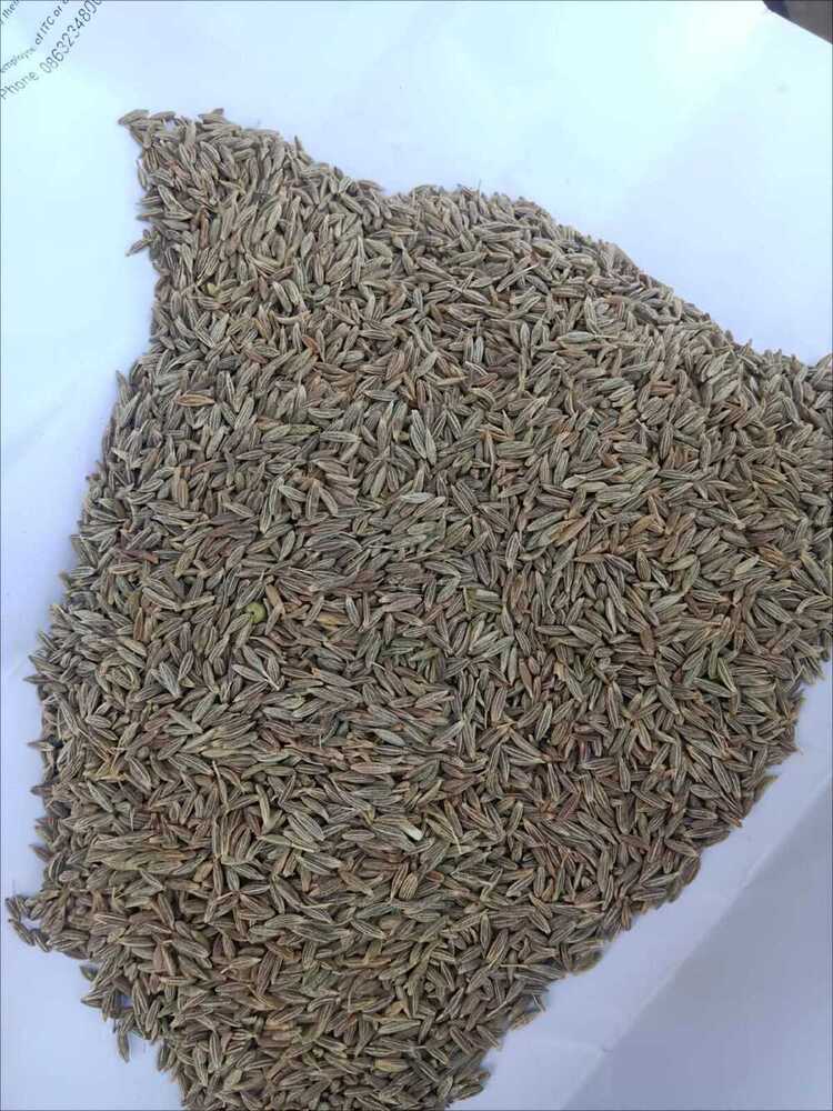 Cumin Seeds - Natural Edible Raw Piece | Strong Taste With Cool Dry Storage For Optimal Freshness
