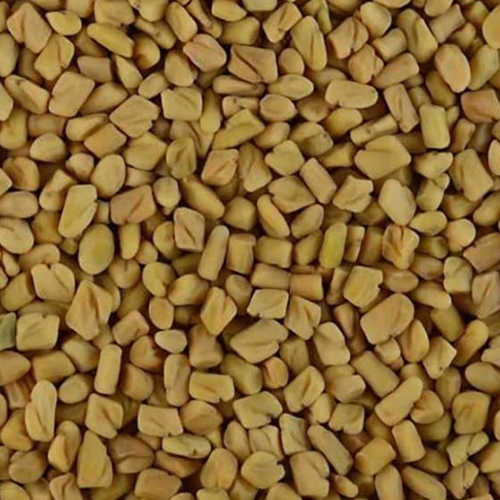 Fenugreek Seed