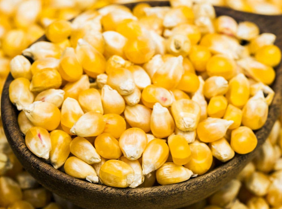 Yellow Corn