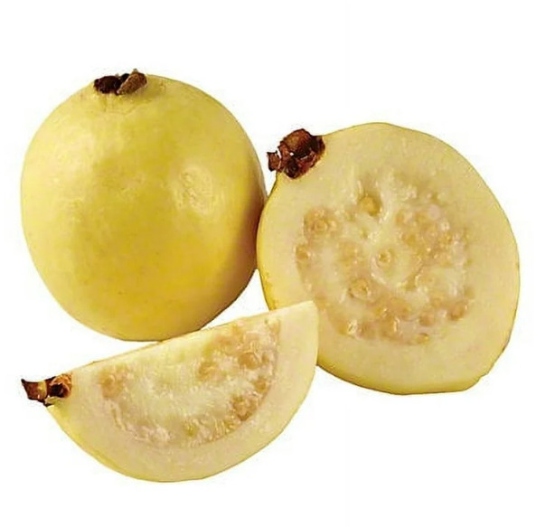 Yellow Guava