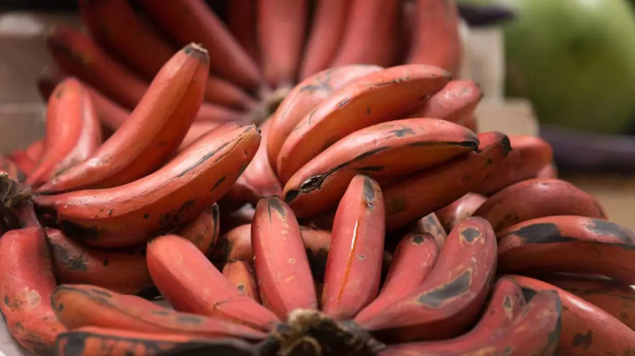 Red Banana - Color: Natural Color