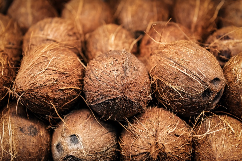 Fresh Coconut