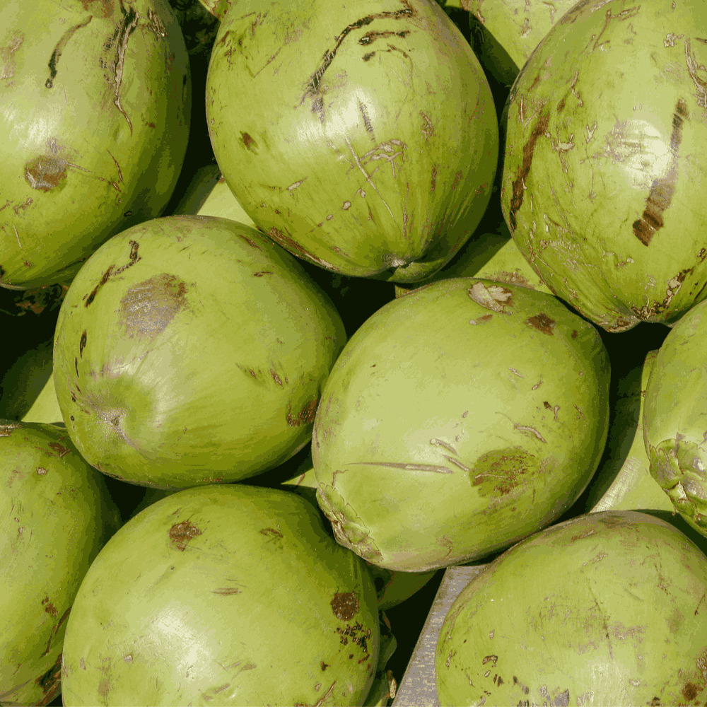 Green Coconut
