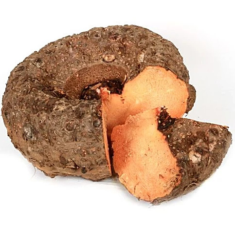 Fresh Suran - Color: Natural Color