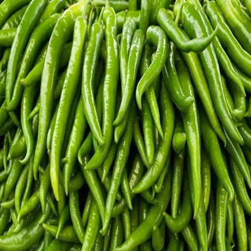 Green Chilli