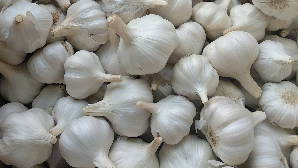 Dry Garlic - Moisture (%): 5% - 10%