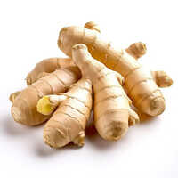 Dry Ginger