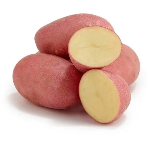 Red Potato