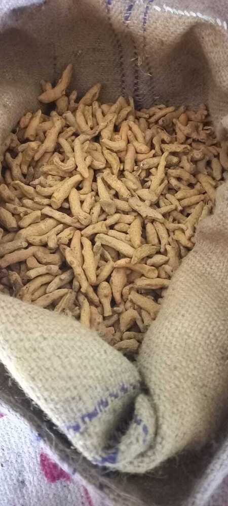 Fresh Turmeric Finger