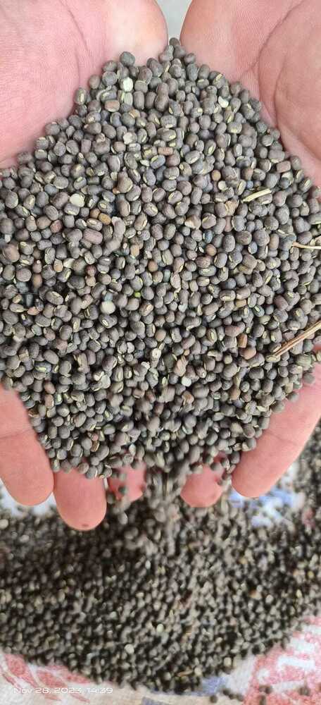 Black Urad Dal