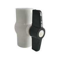 White Pp Ball Valve Short Handle
