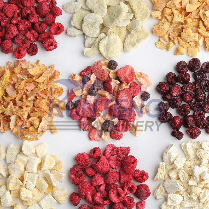 Vacuum Fruit Vegetable Freeze Drying Machine Food Freeze Drying Machine Vacuum Quick Freeze Drying Machine Mango Freeze Drying Equipment