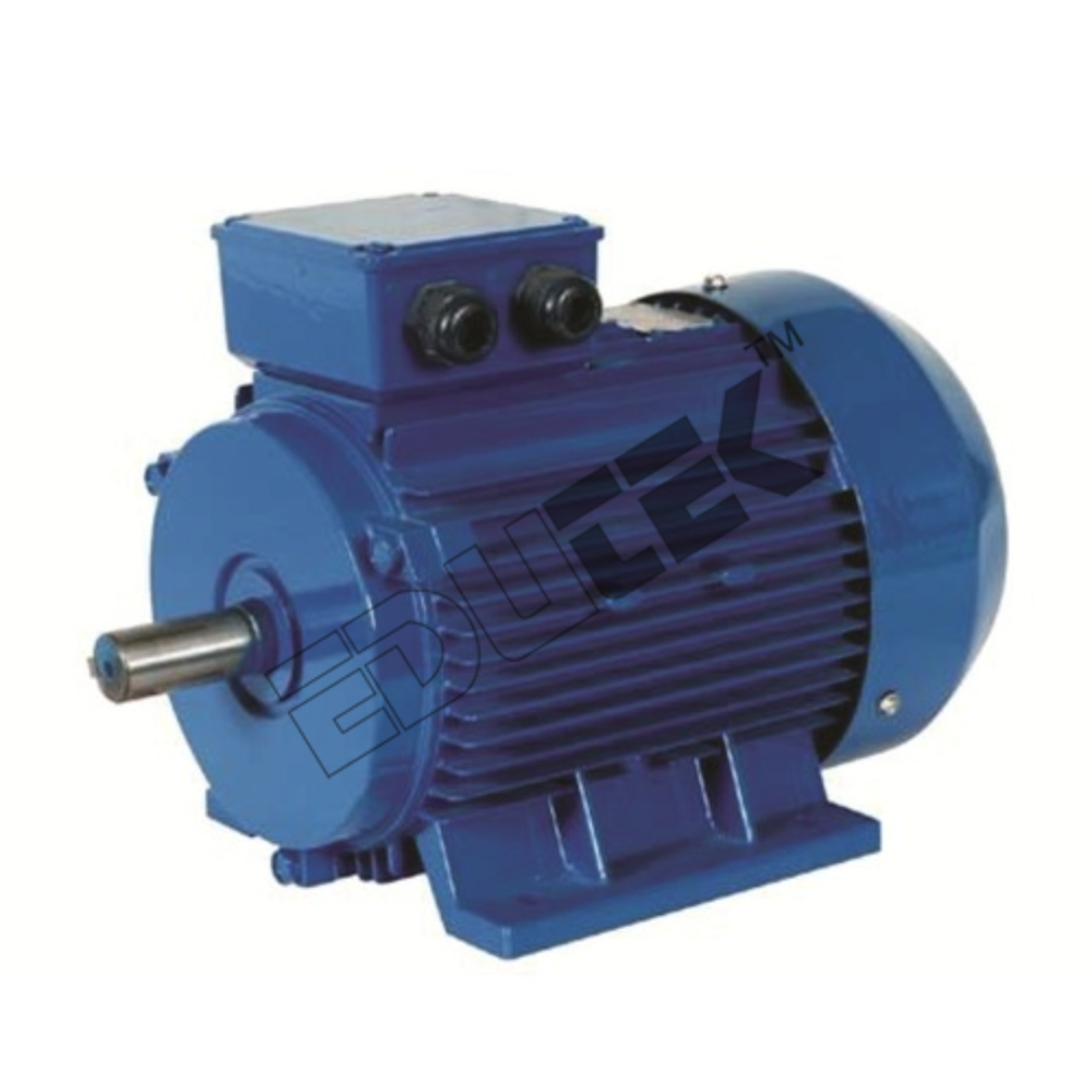 THREE PHASE SYNCHRONOUS MOTOR