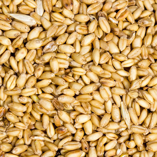 Pure Wheat Pure Wheat