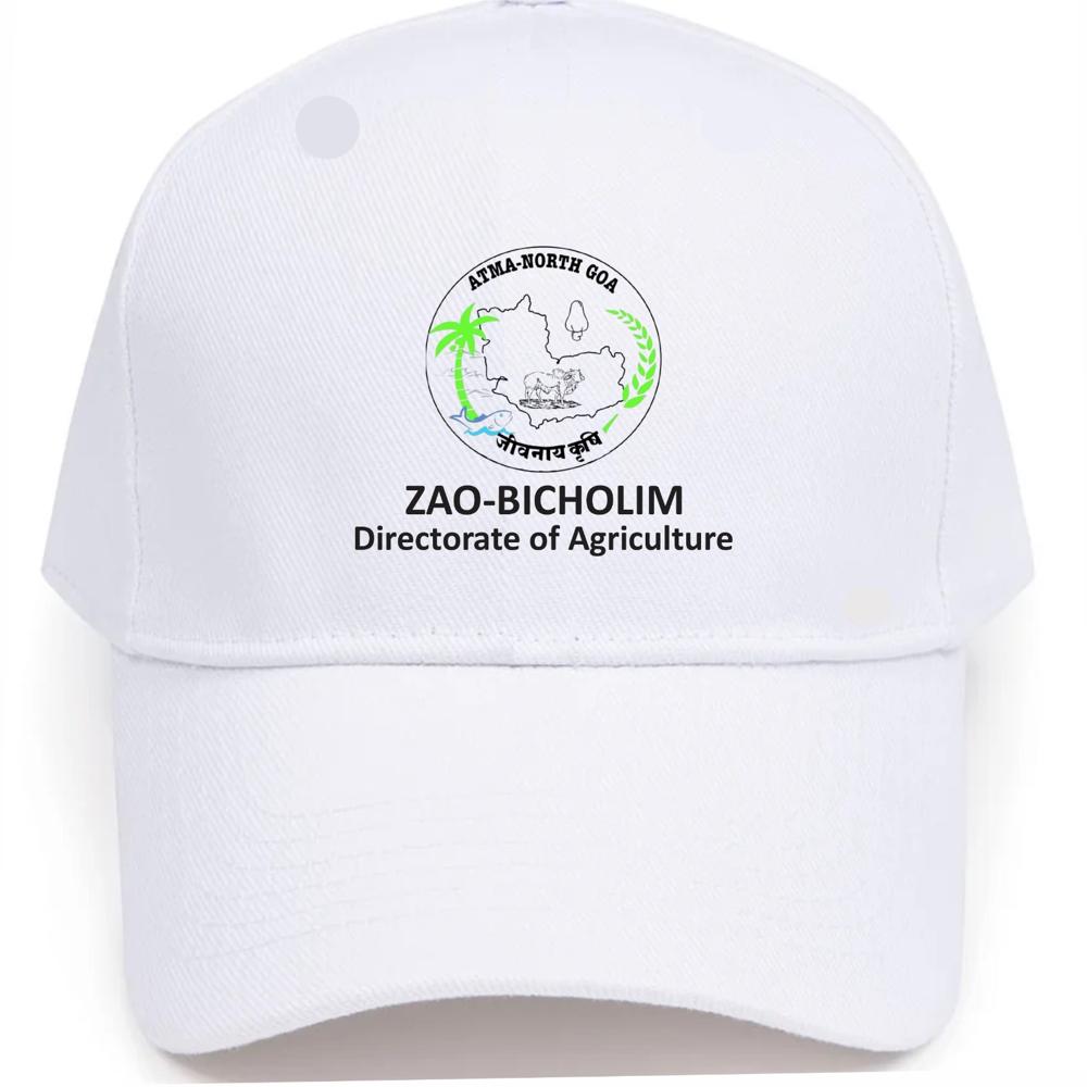 Promotional Cap 