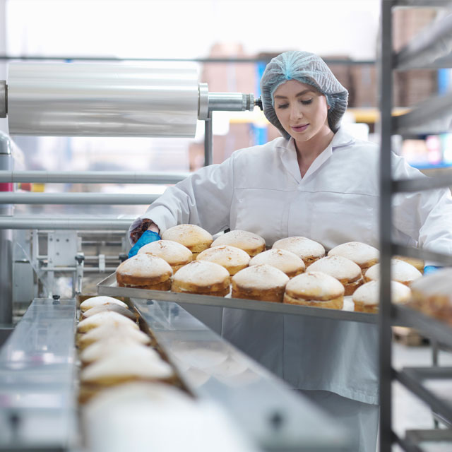 Food Grade 300a C High Temperature Fluorinated Grease,premium Heat Resistant Lubricant For Ovens, Motors, Bearings And Food Machinery Grease