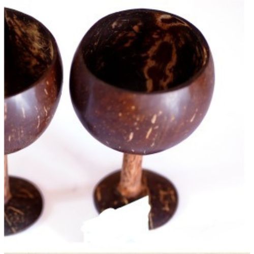 Coconut Short Wooden Handle