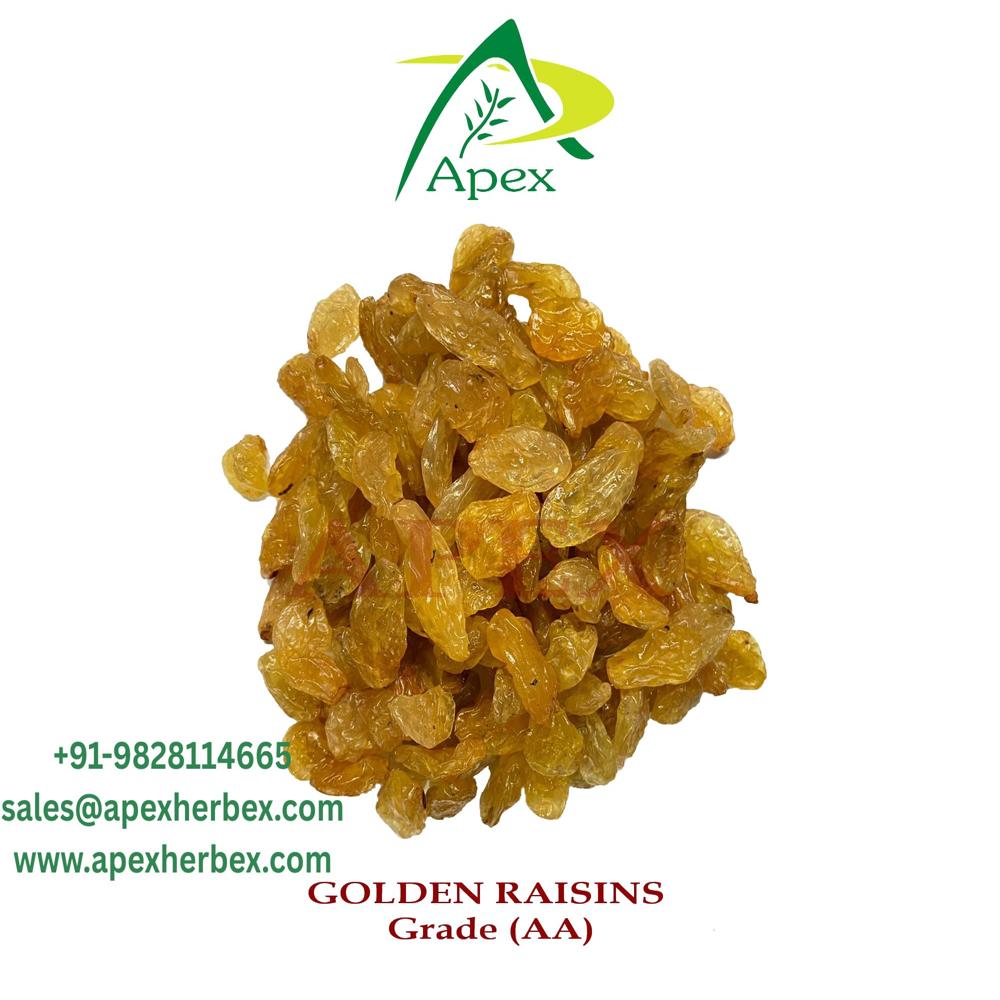 Indian Golden Raisins Kishmish
