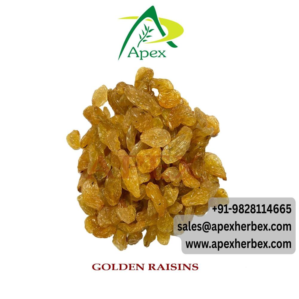 Indian Golden Raisins Kishmish