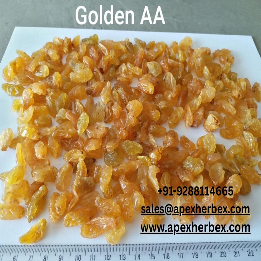 Indian Golden Raisins Kishmish
