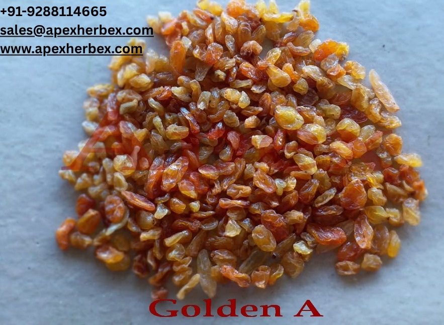 Indian Golden Raisins Kishmish