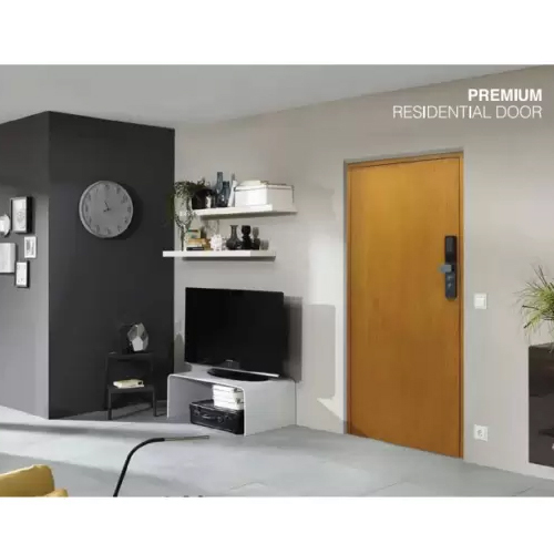 Premium Residential Door