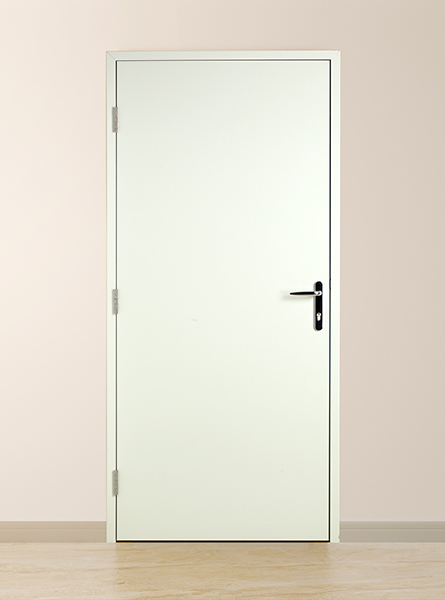 Steel Flush Door
