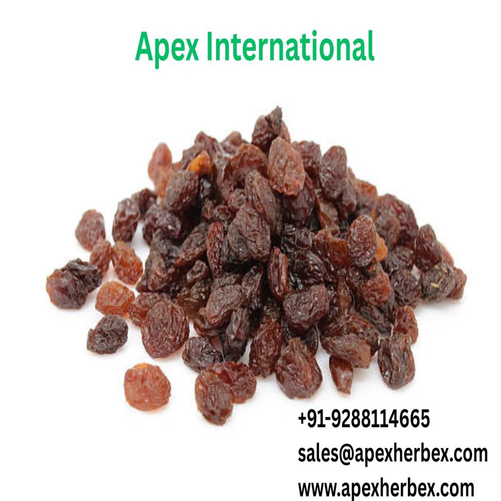 Industrial Raisins Kishmish