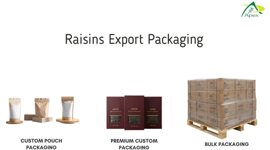 Industrial Raisins Kishmish