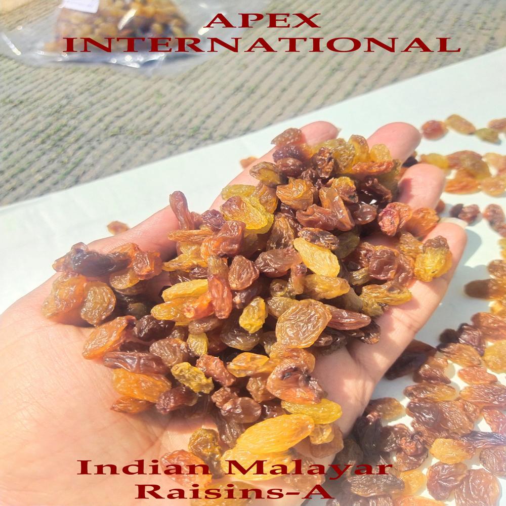 Indian Malayar Raisins - Color: Light Greenish Brownish
