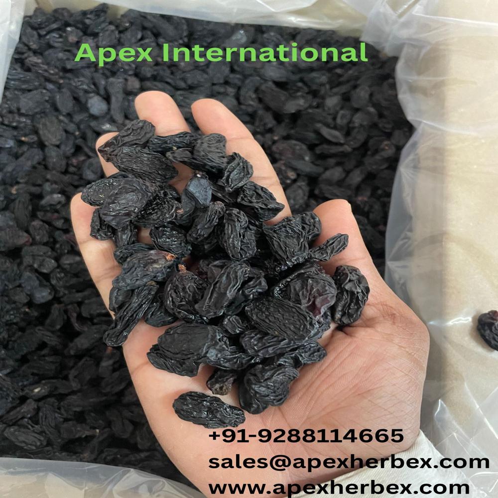 Indian Black Raisins - Cultivation Type: Natural