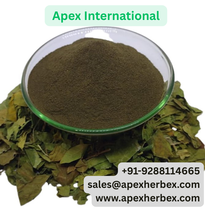 Gymnema Sylvestre Extract 25 USP