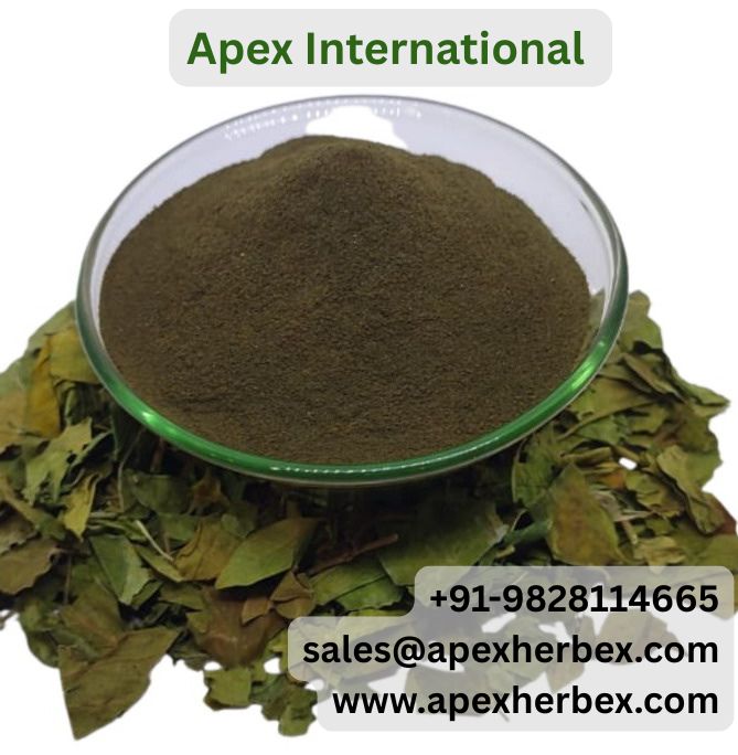 Gymnema Sylvestre Extract 25 USP