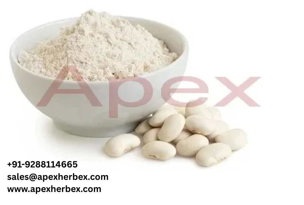 White Kidney Bean Extract