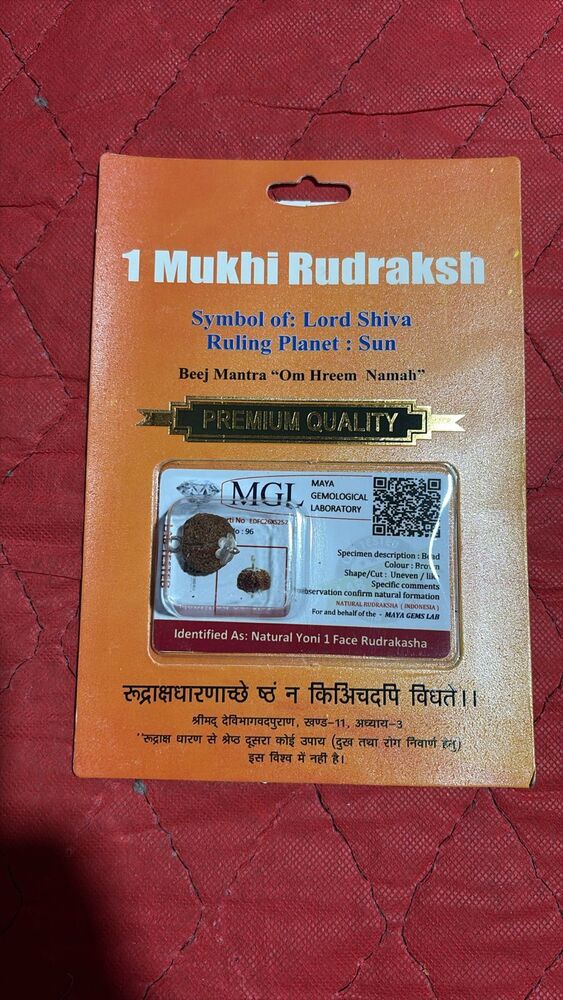 1 Mukhi Round Dana - Color: Various Available