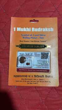 1 Mukhi Round Dana - Color: Various Available
