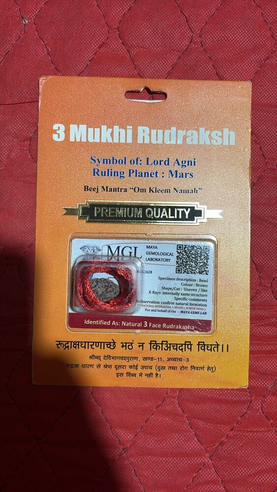 3 Mukhi Rudraksh