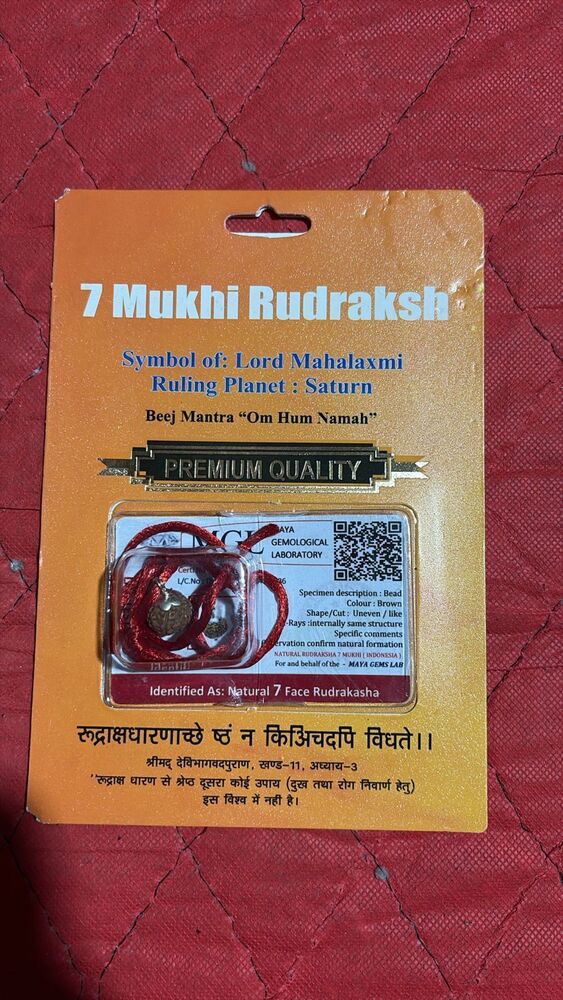 7 Mukhi Rudraksh - Color: Various Available