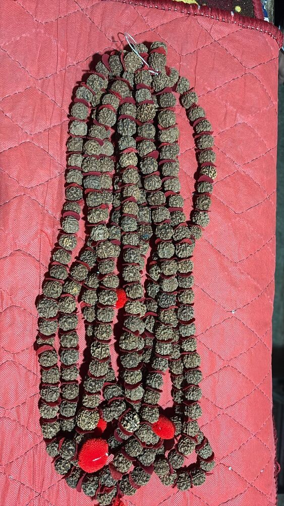 54 Beads Rudraksh Kantha - Color: Various Available