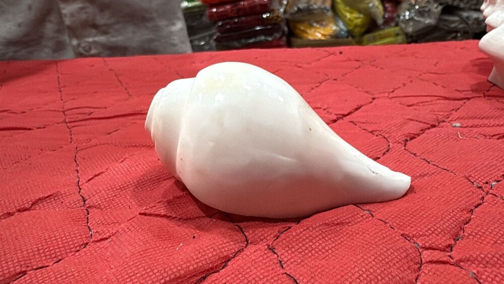 Original Blowing Shankh