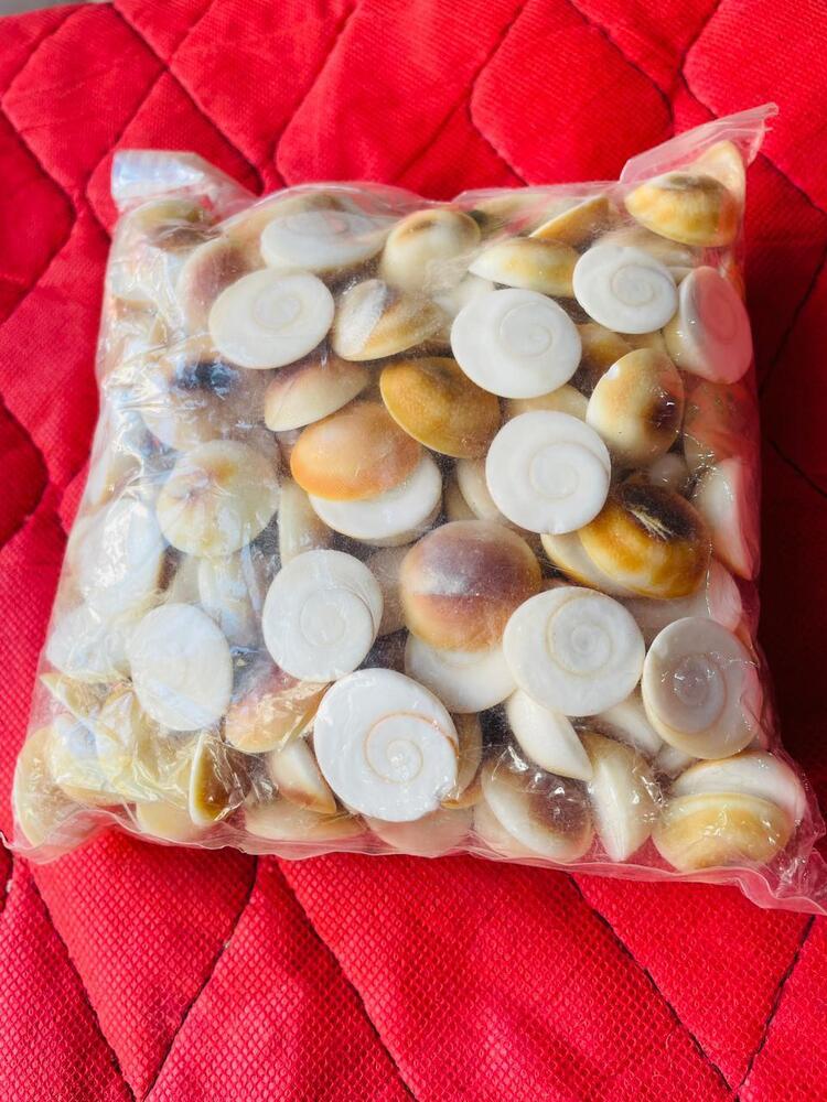 Polish China Gomti Chakra - Color: Various Available